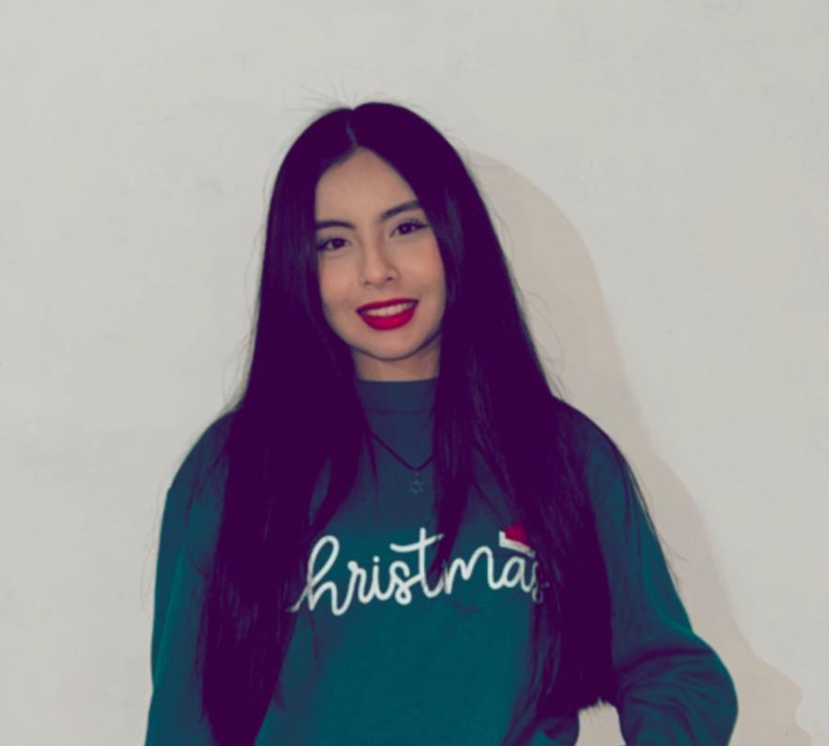 <em>Erika Ogaz L.</em>